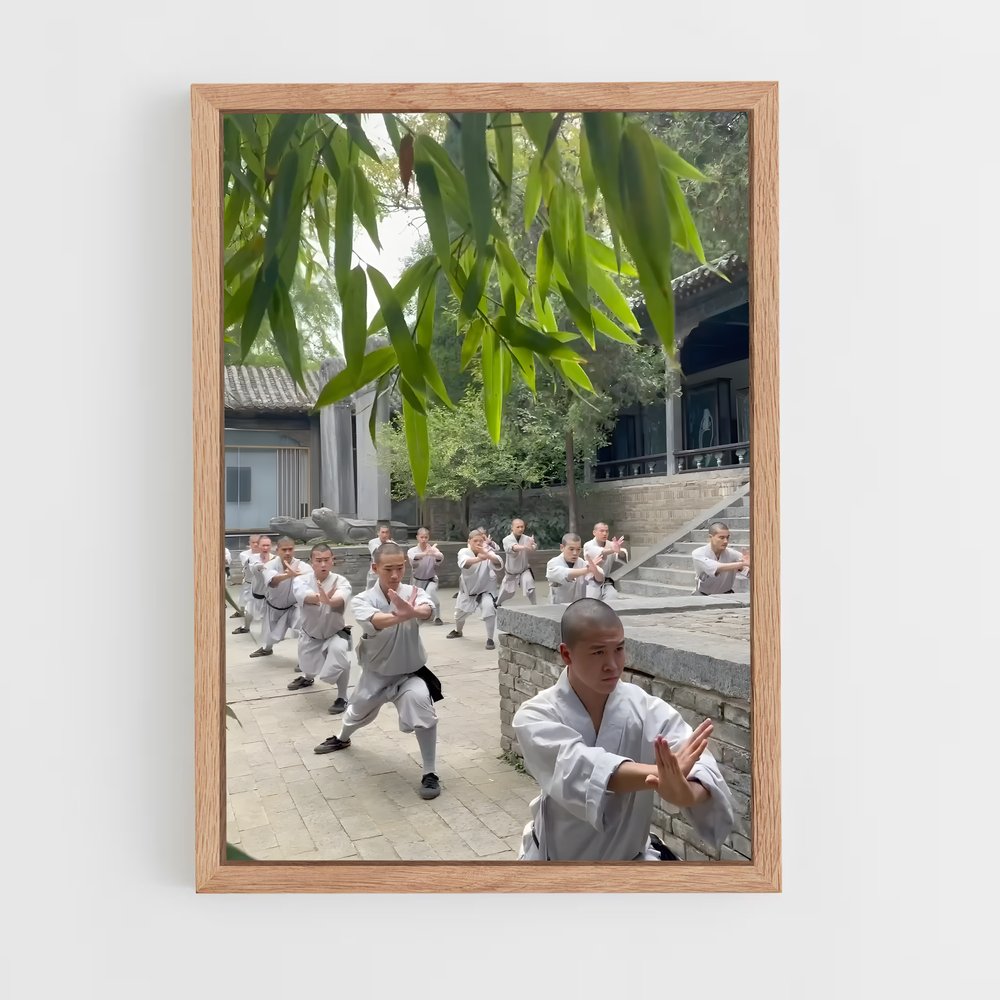 ap-shaolin temple-6 cadre Bois clair