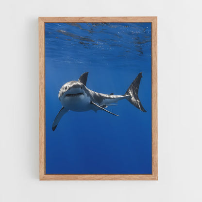 ap-shark-2 cadre Bois clair