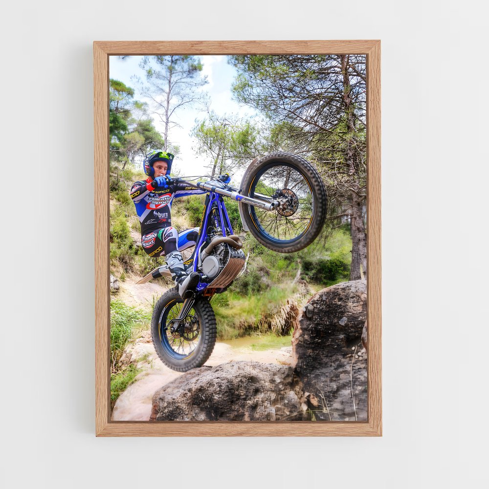 ap-sherco-1 cadre Bois clair