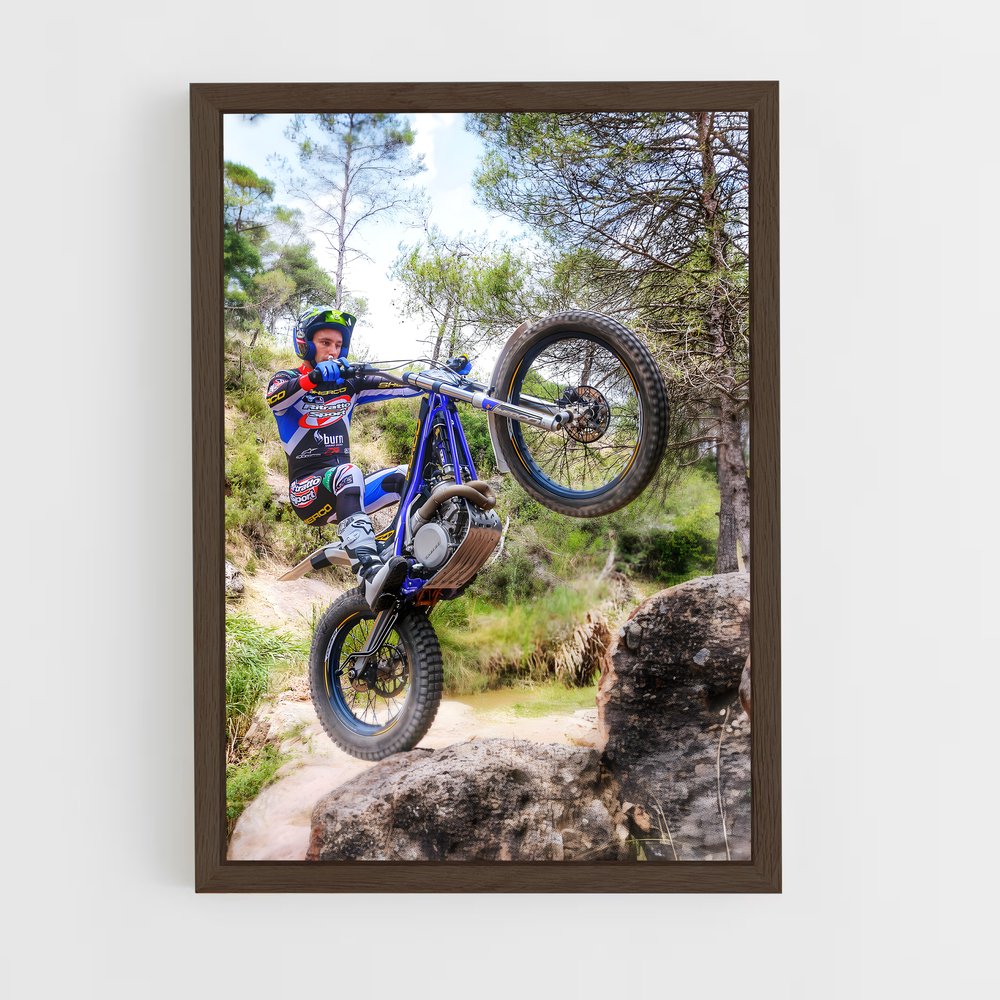 ap-sherco-1 cadre Bois foncé