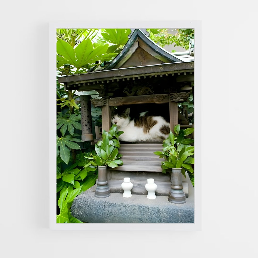ap-shinto-5 cadre Blanc