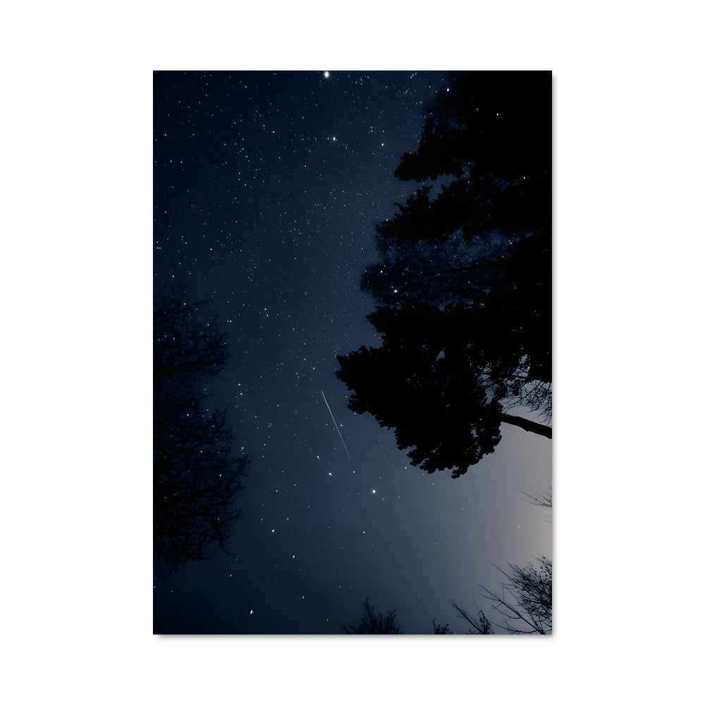 Poster Shooting star 97218