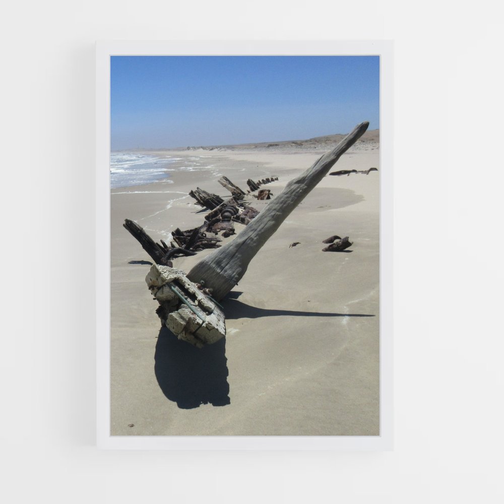 ap-skeleton coast-3 cadre Blanc