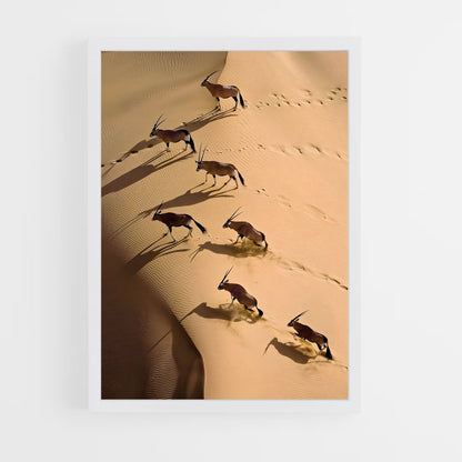 ap-skeleton coast-8 cadre Blanc