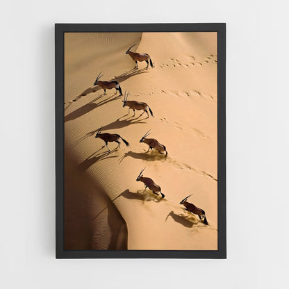 ap-skeleton coast-8 cadre Noir