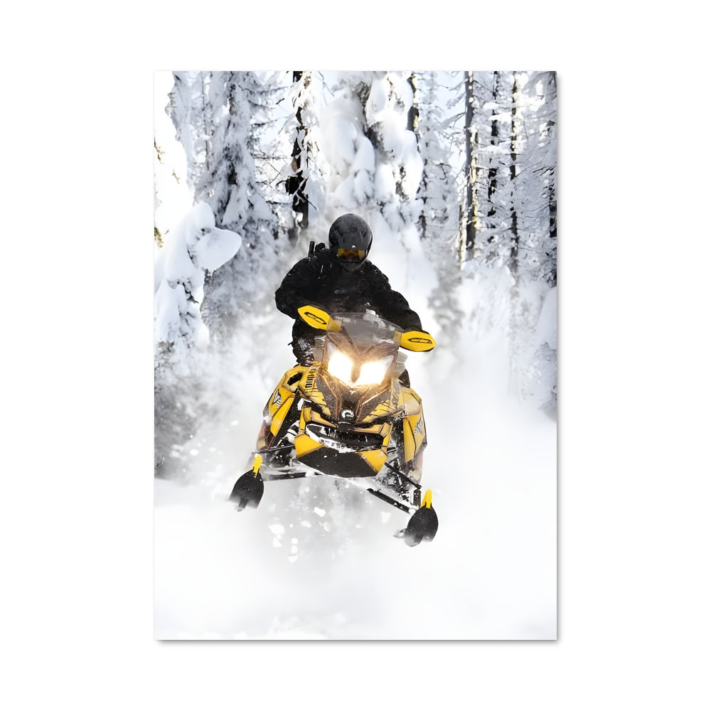 Poster Ski-doo renegade 81576