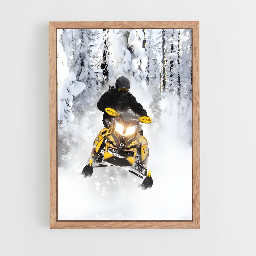 ap-ski-doo renegade-1 cadre Bois clair