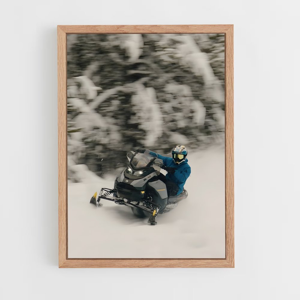 ap-ski-doo renegade-2 cadre Bois clair