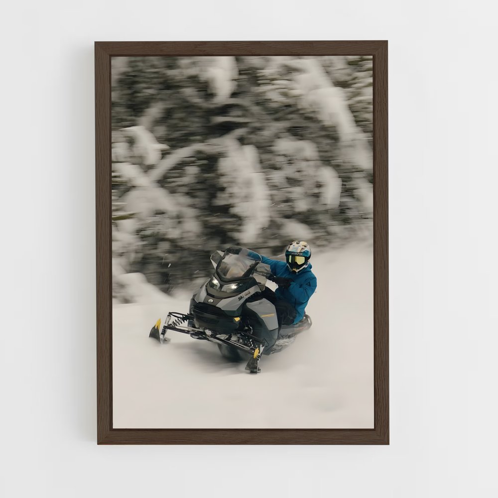 ap-ski-doo renegade-2 cadre Bois foncé