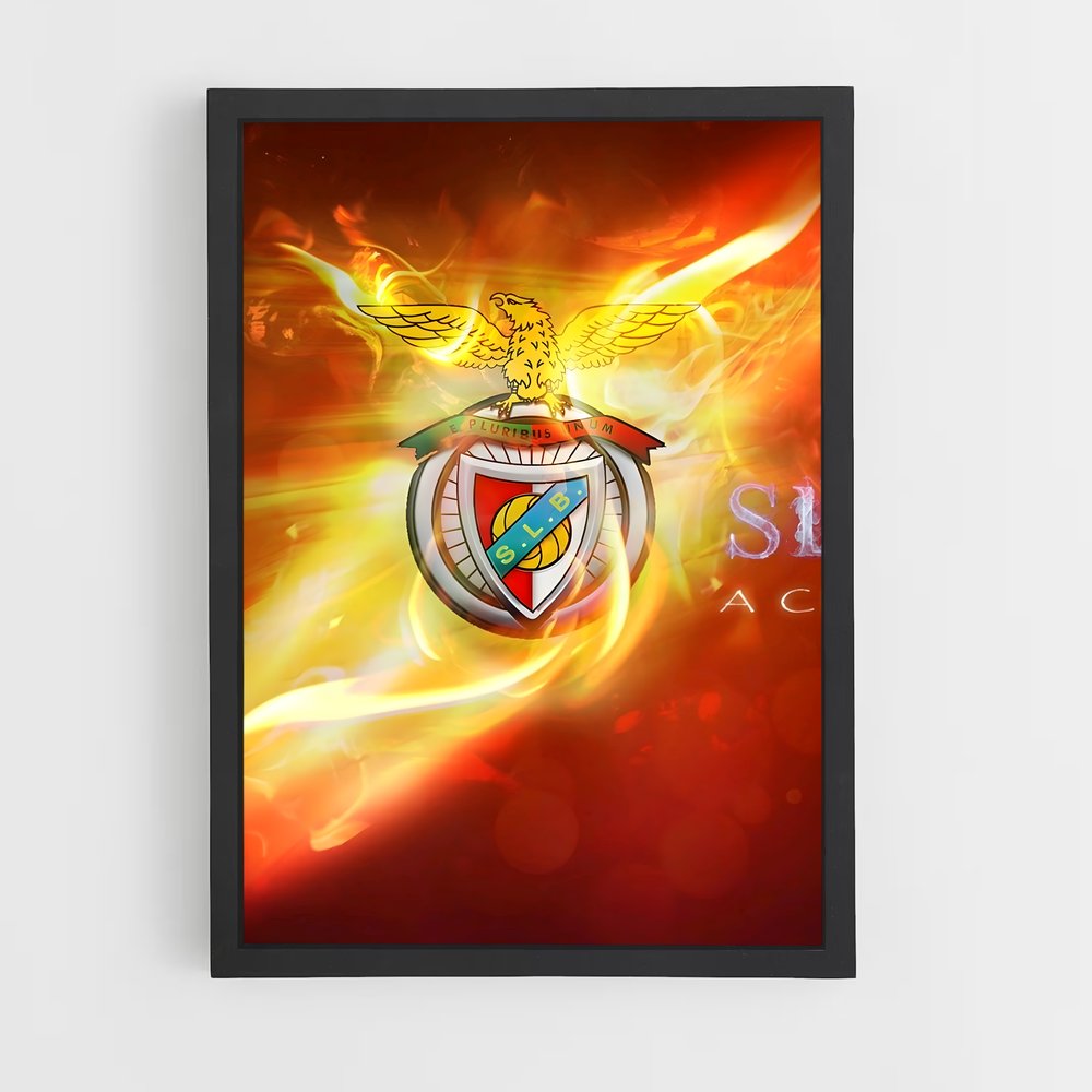 ap-sl benfica-12 cadre Noir