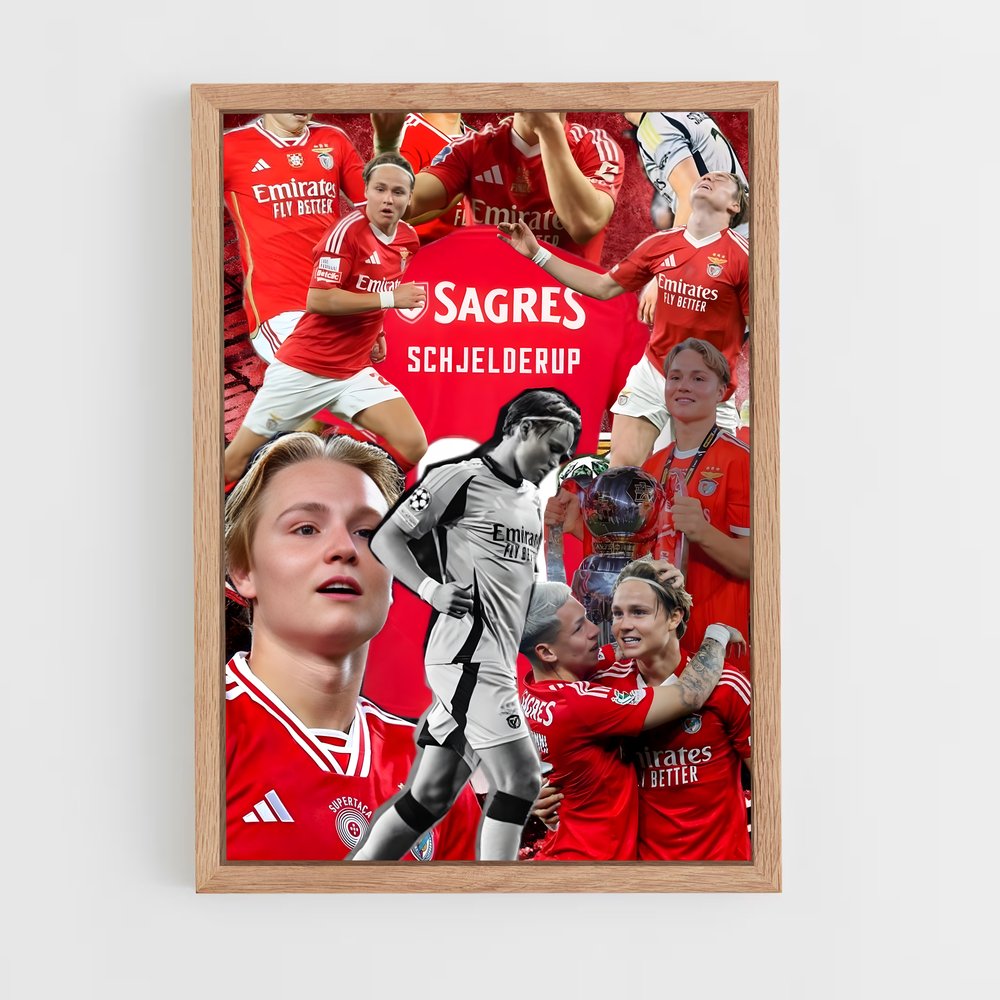 ap-sl benfica-13 cadre Bois clair