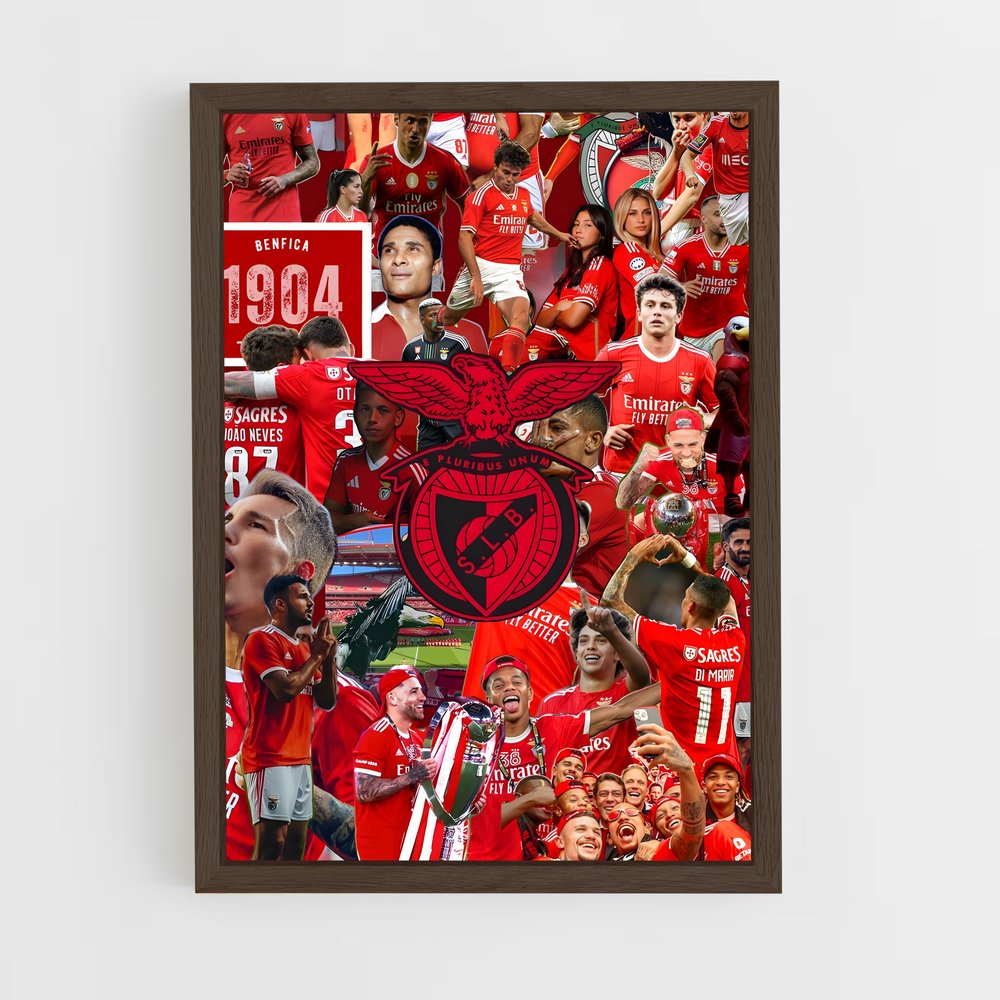 ap-sl benfica-15 cadre Bois foncé