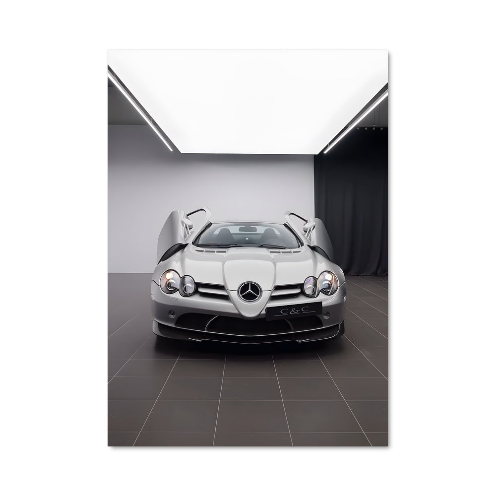 Poster SLR Élévation