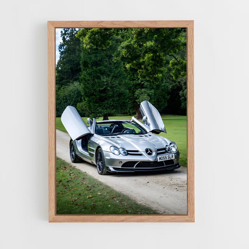 ap-slr 722-1 cadre Bois clair