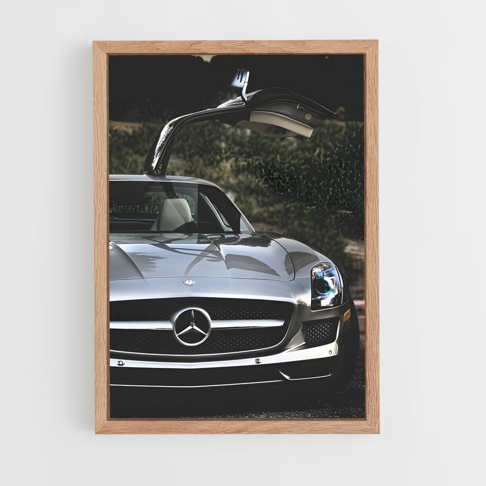 ap-sls amg-4 cadre Bois clair