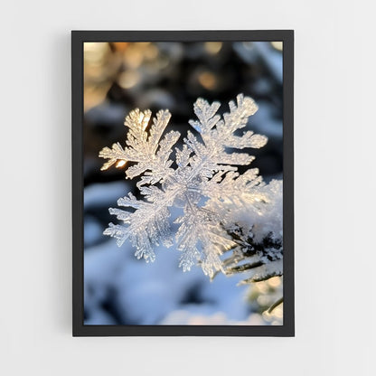 ap-snowflake-6 cadre Noir
