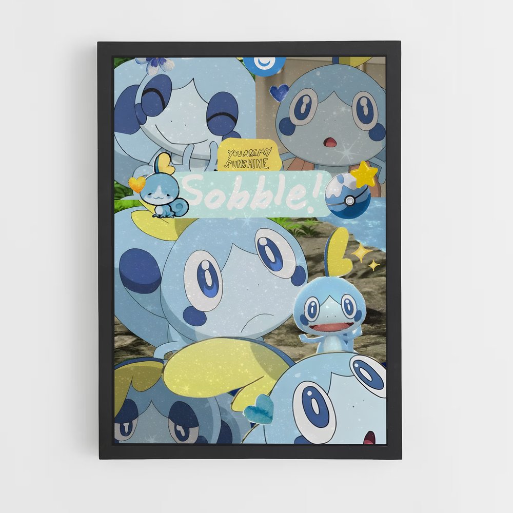 ap-sobble-1 cadre Noir