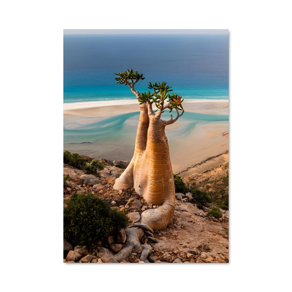 Poster Arbre des Rêves