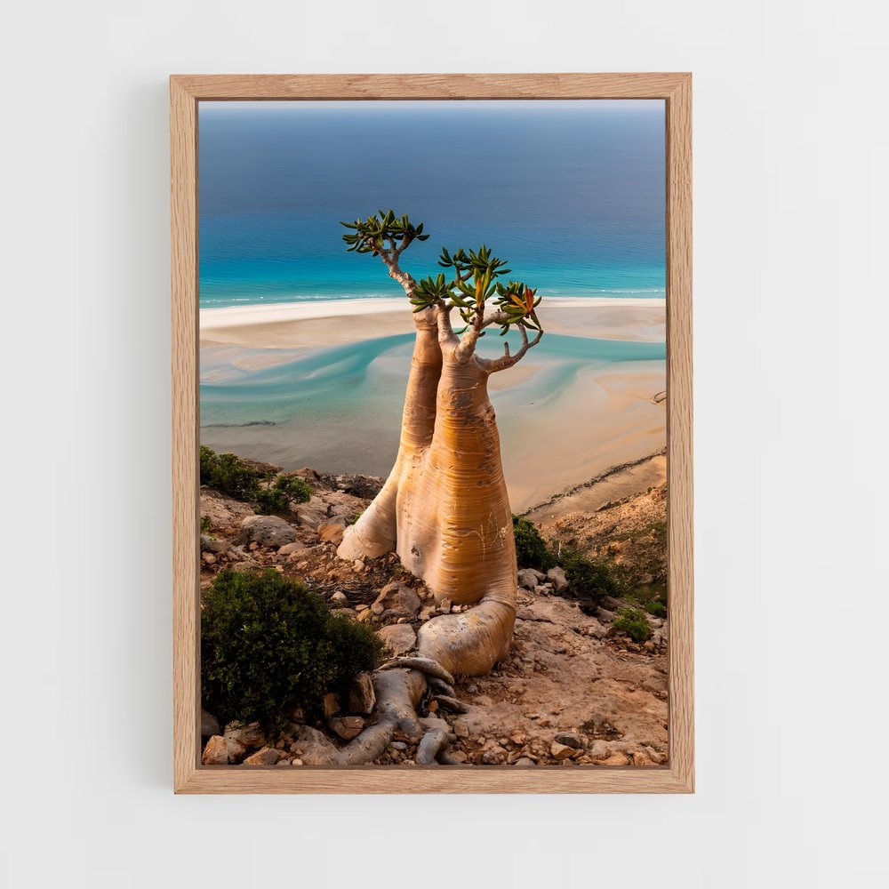 ap-socotra island-2 cadre Bois clair