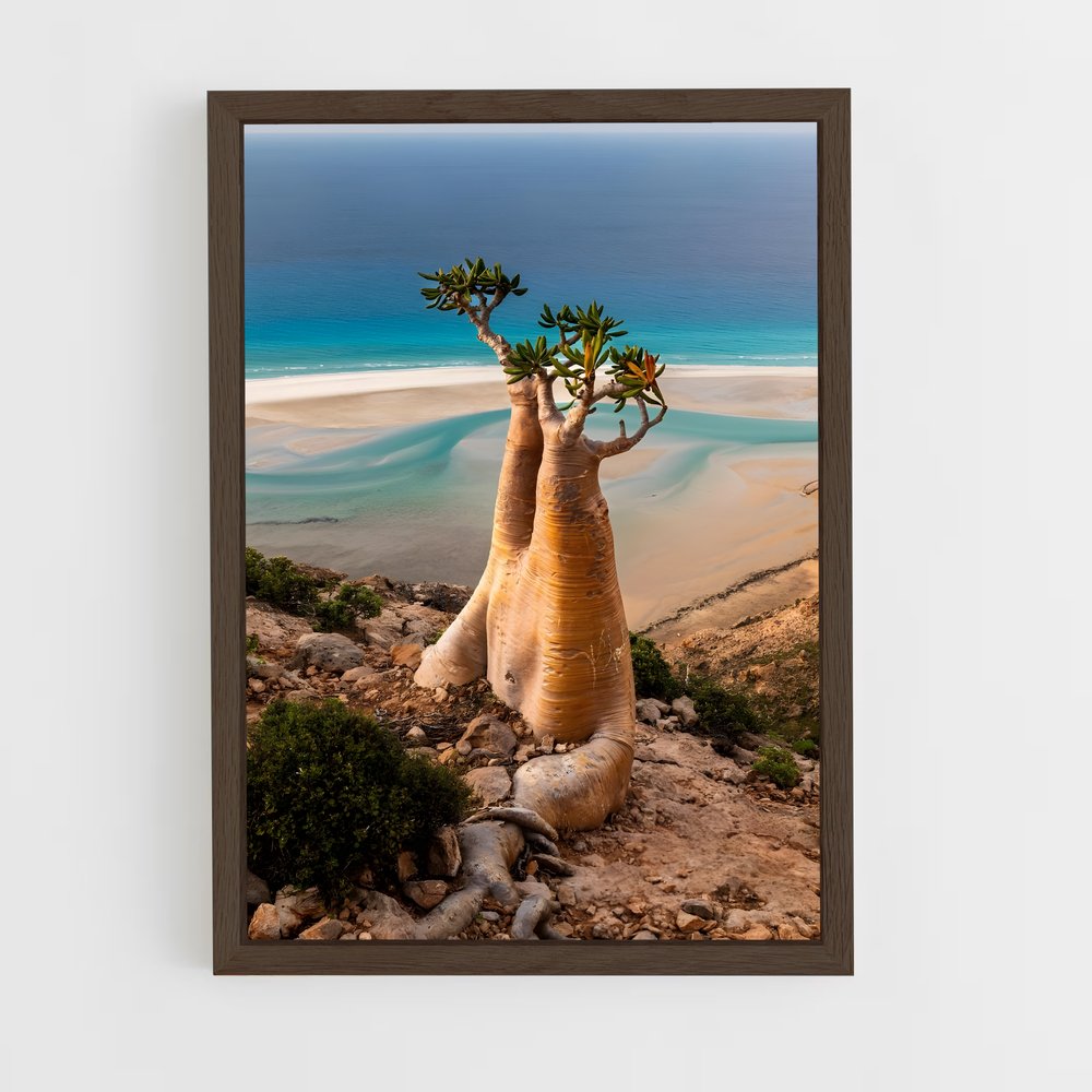 ap-socotra island-2 cadre Bois foncé