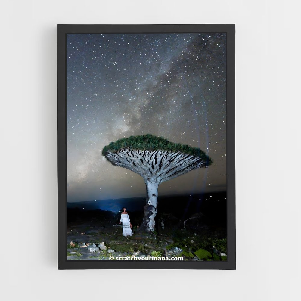 ap-socotra island-5 cadre Noir