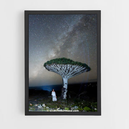 ap-socotra island-5 cadre Noir