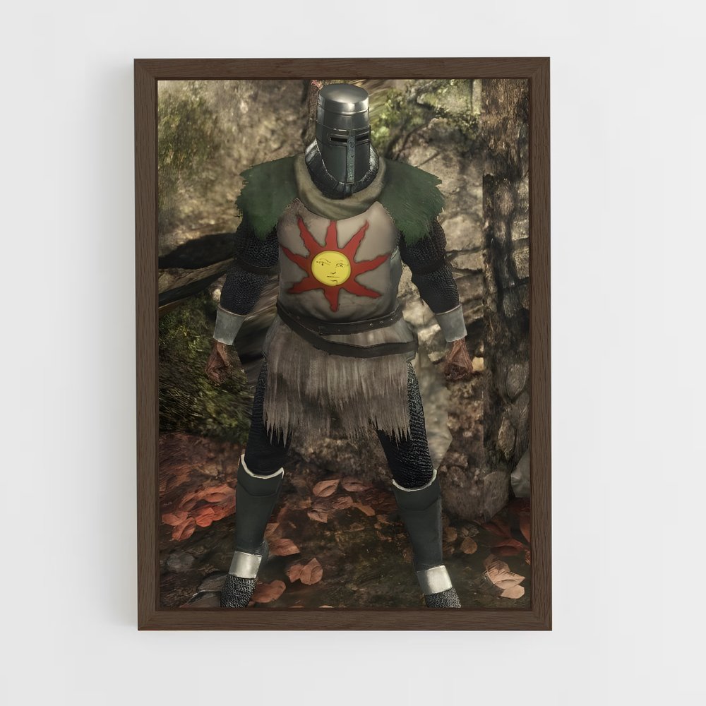 ap-solaire-5 cadre Bois foncé