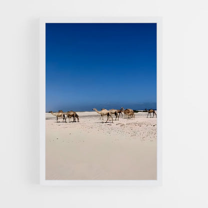 ap-somalia-5 cadre Blanc