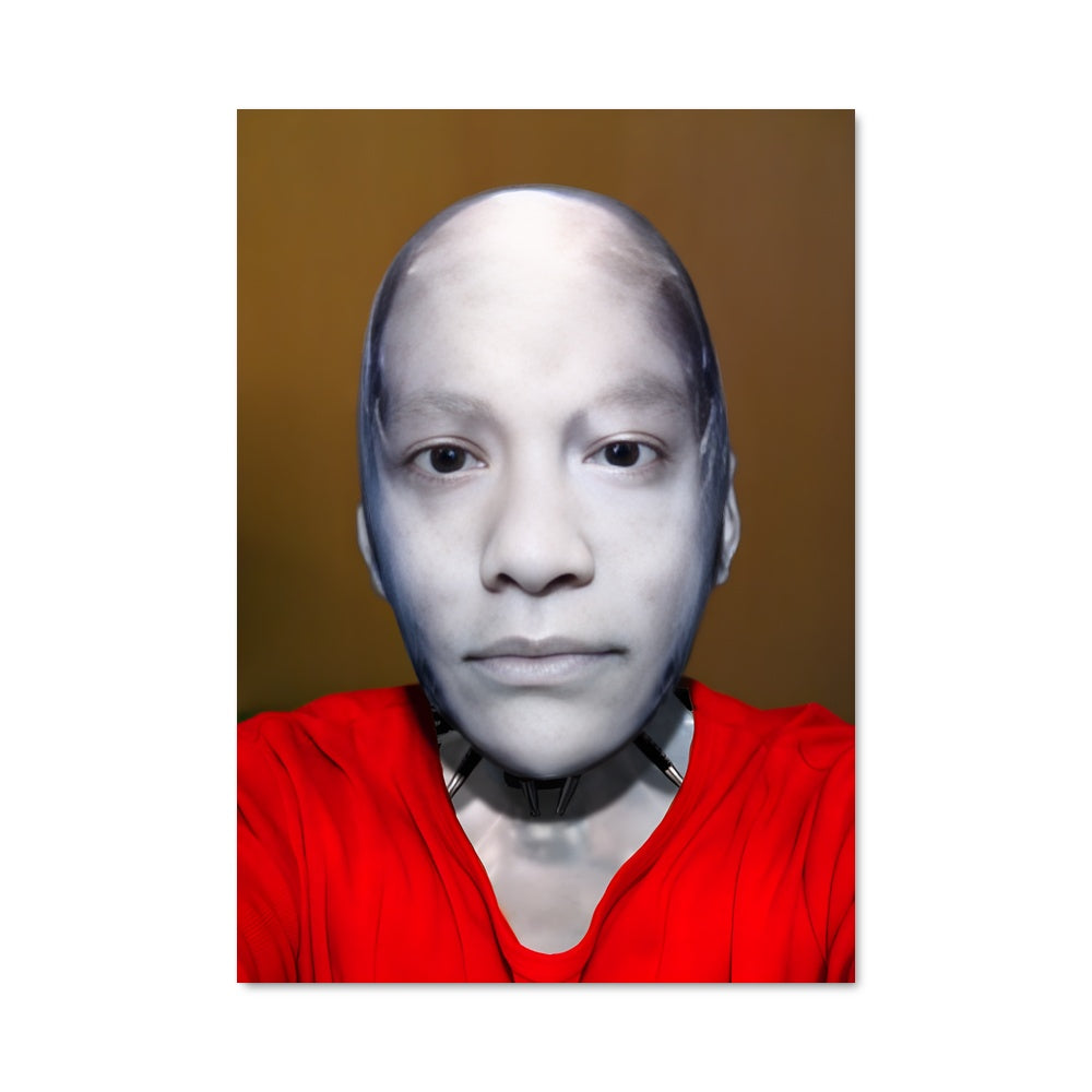 Poster Visage de l'Inconnu