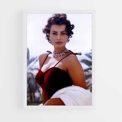 ap-sophia loren-5 cadre Blanc