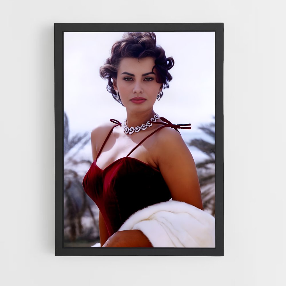 ap-sophia loren-5 cadre Noir