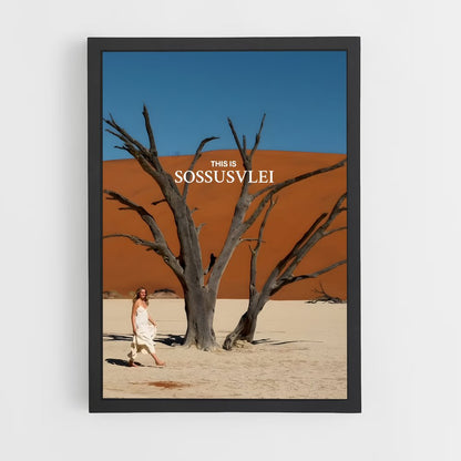 ap-sossusvlei-3 cadre Noir