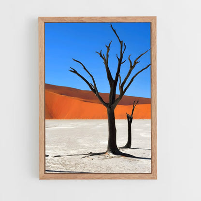 ap-sossusvlei-5 cadre Bois clair