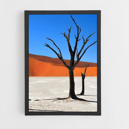 ap-sossusvlei-5 cadre Noir