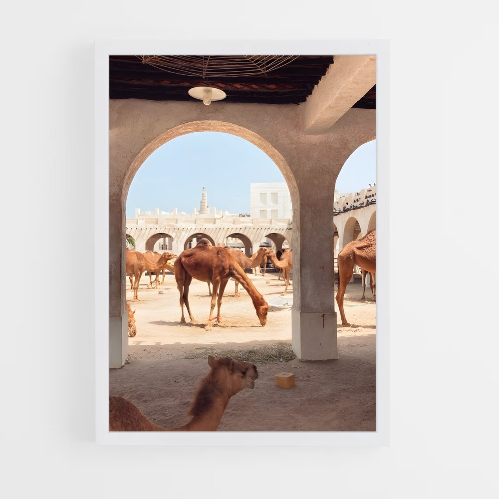 ap-souq waqif-12 cadre Blanc
