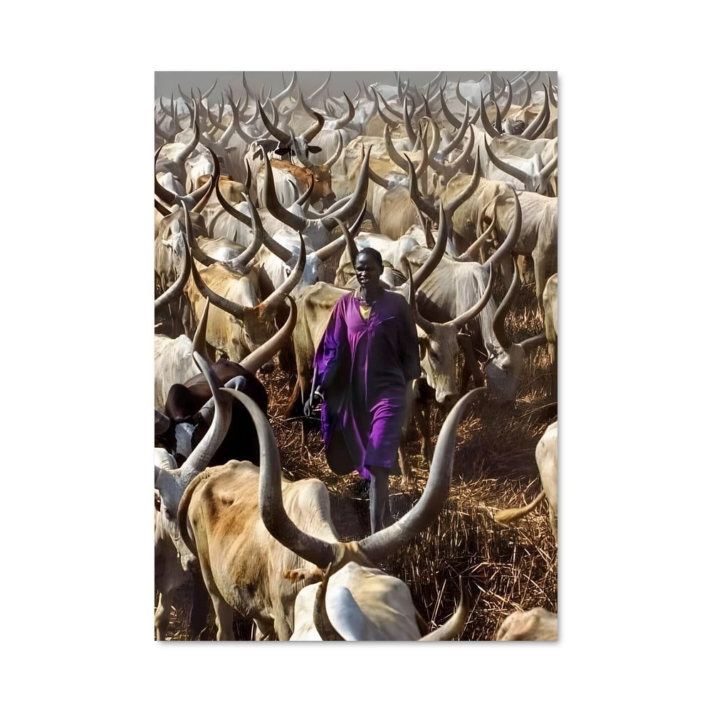 Poster Gardien des Bétails