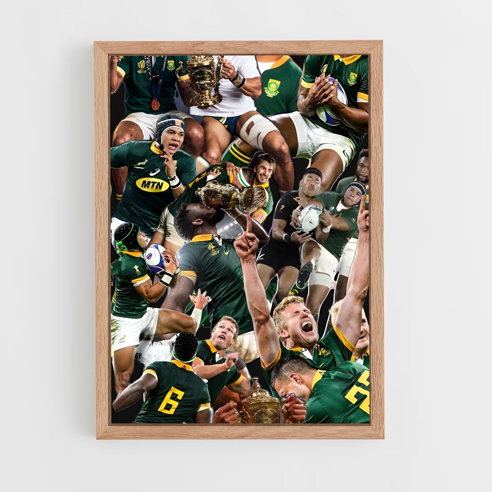 ap-south africa springboks-2 cadre Bois clair