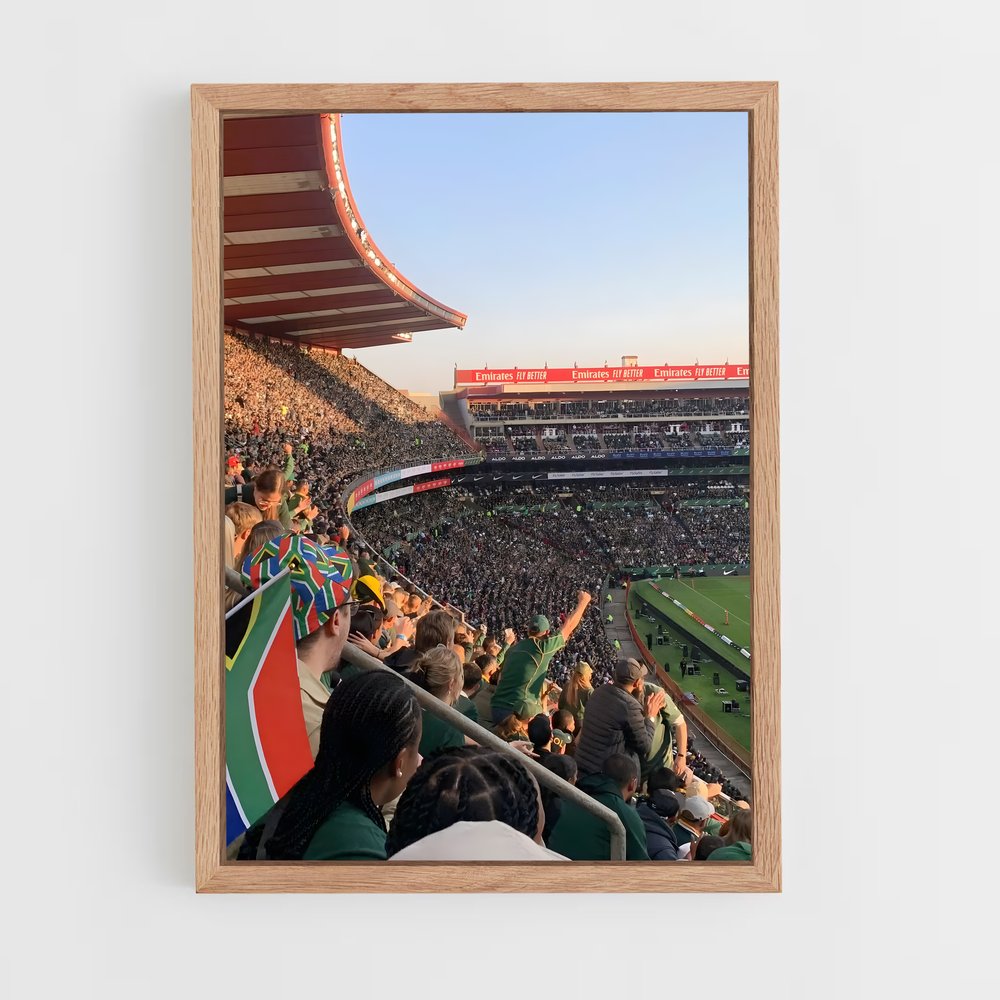 ap-south africa springboks-4 cadre Bois clair