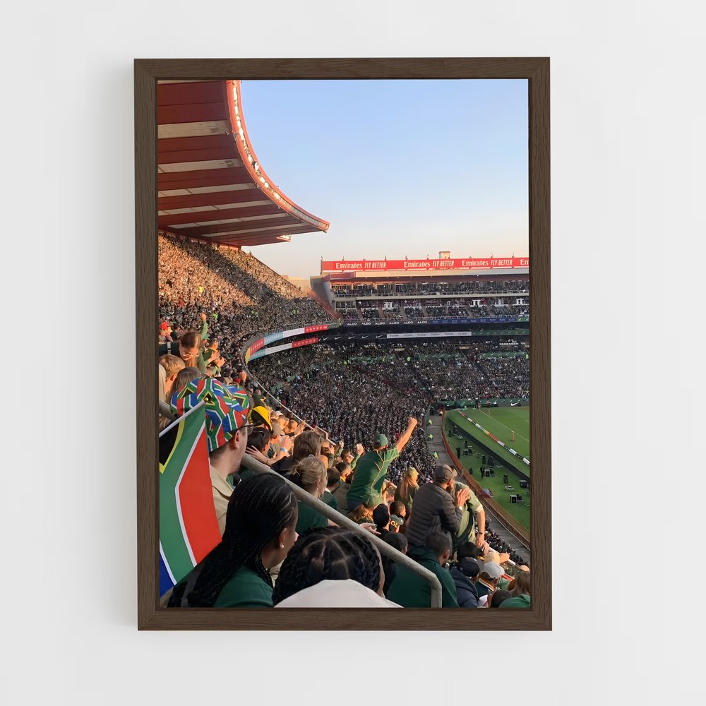 ap-south africa springboks-4 cadre Bois foncé