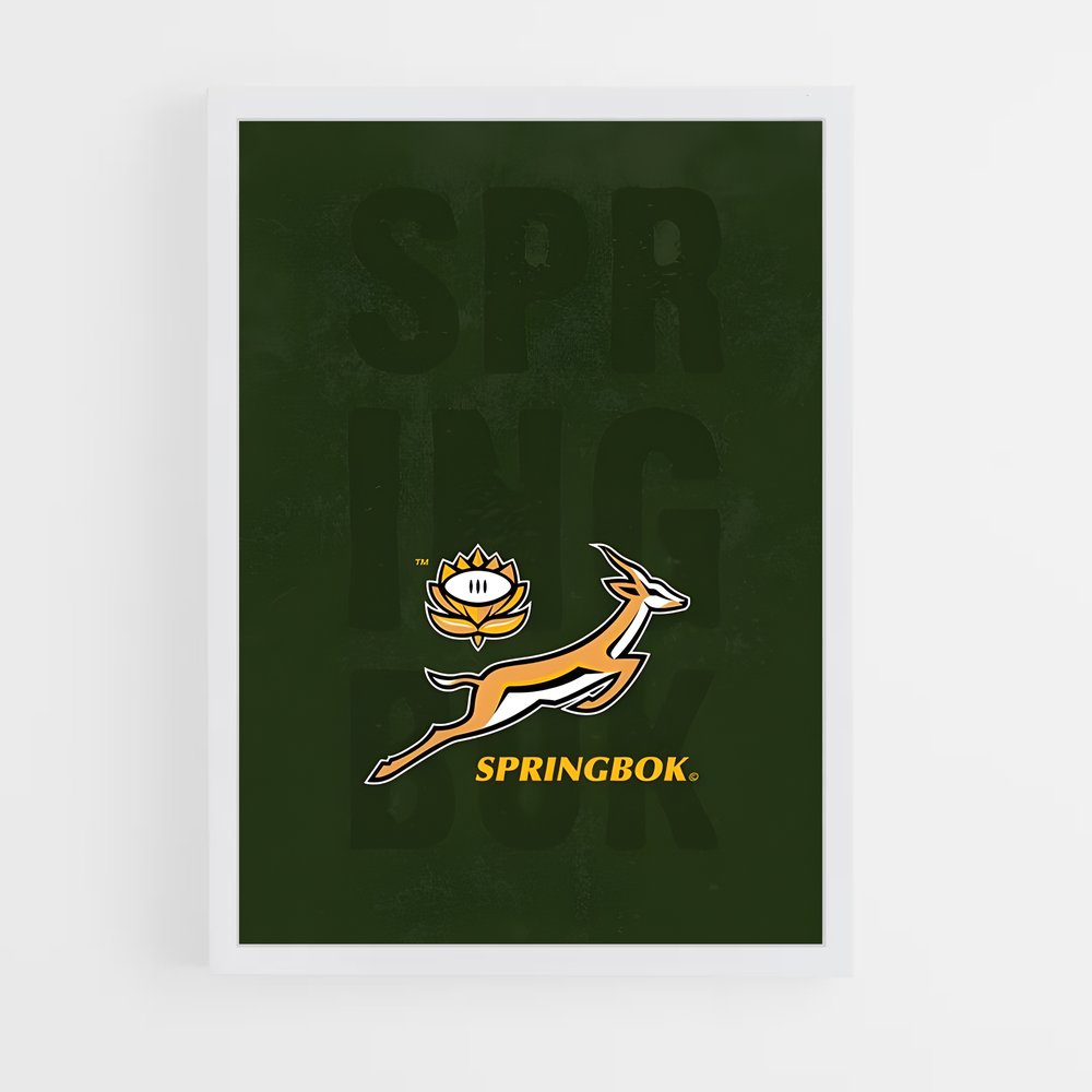 ap-south africa springboks-7 cadre Blanc
