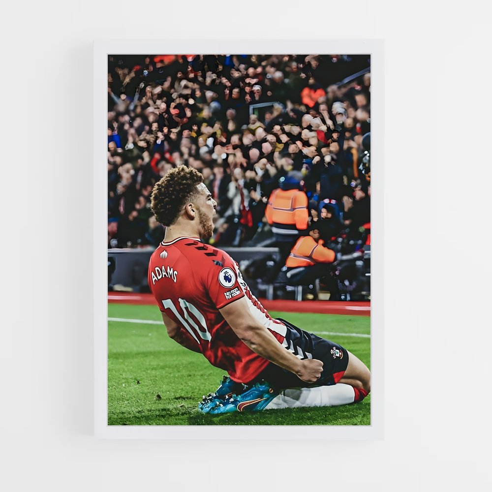ap-southampton fc-5 cadre Blanc