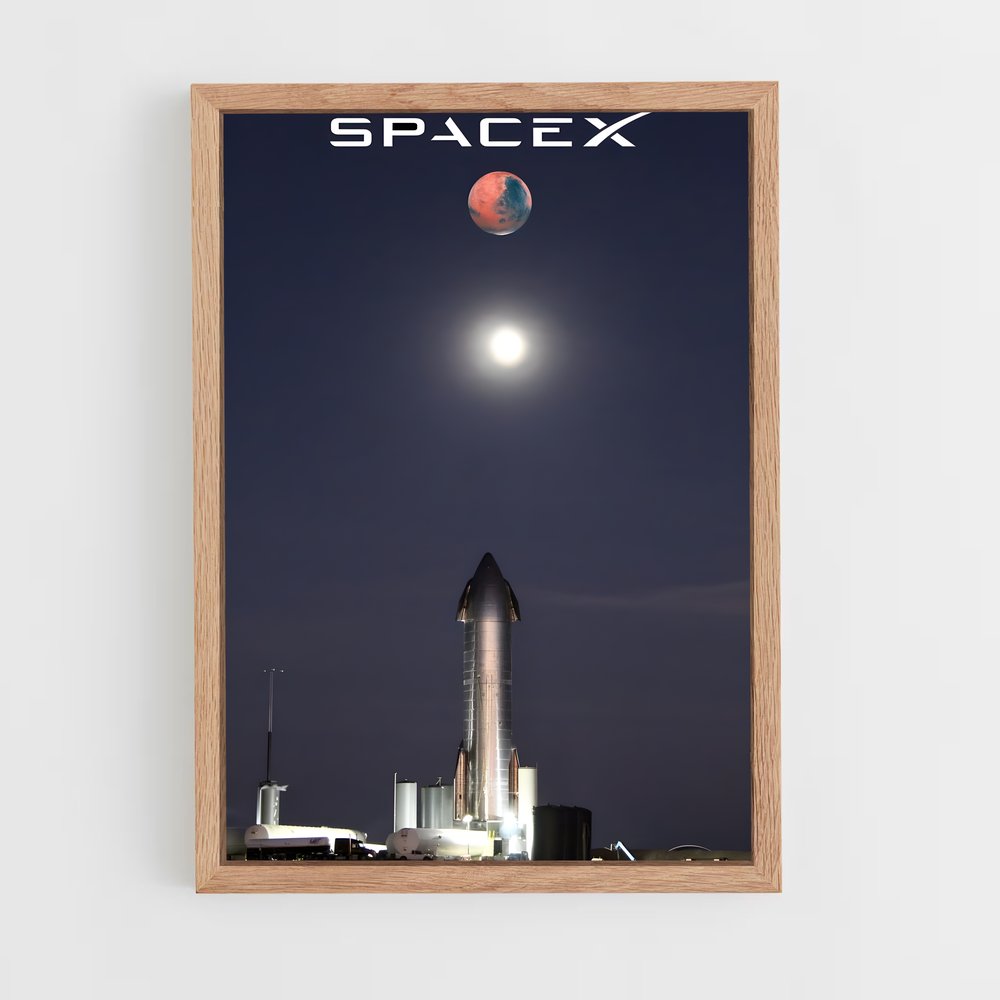 ap-spacex-13 cadre Bois clair