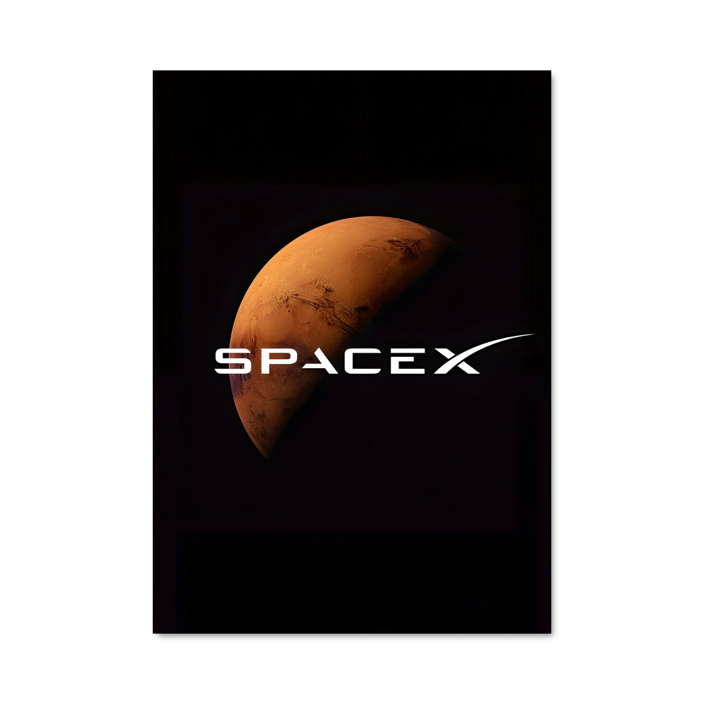 Poster Spacex 97966
