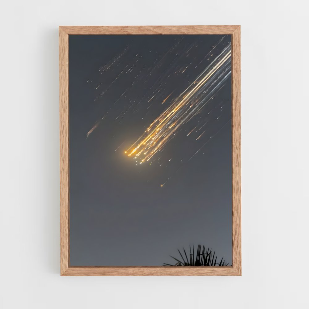 ap-spacex-17 cadre Bois clair