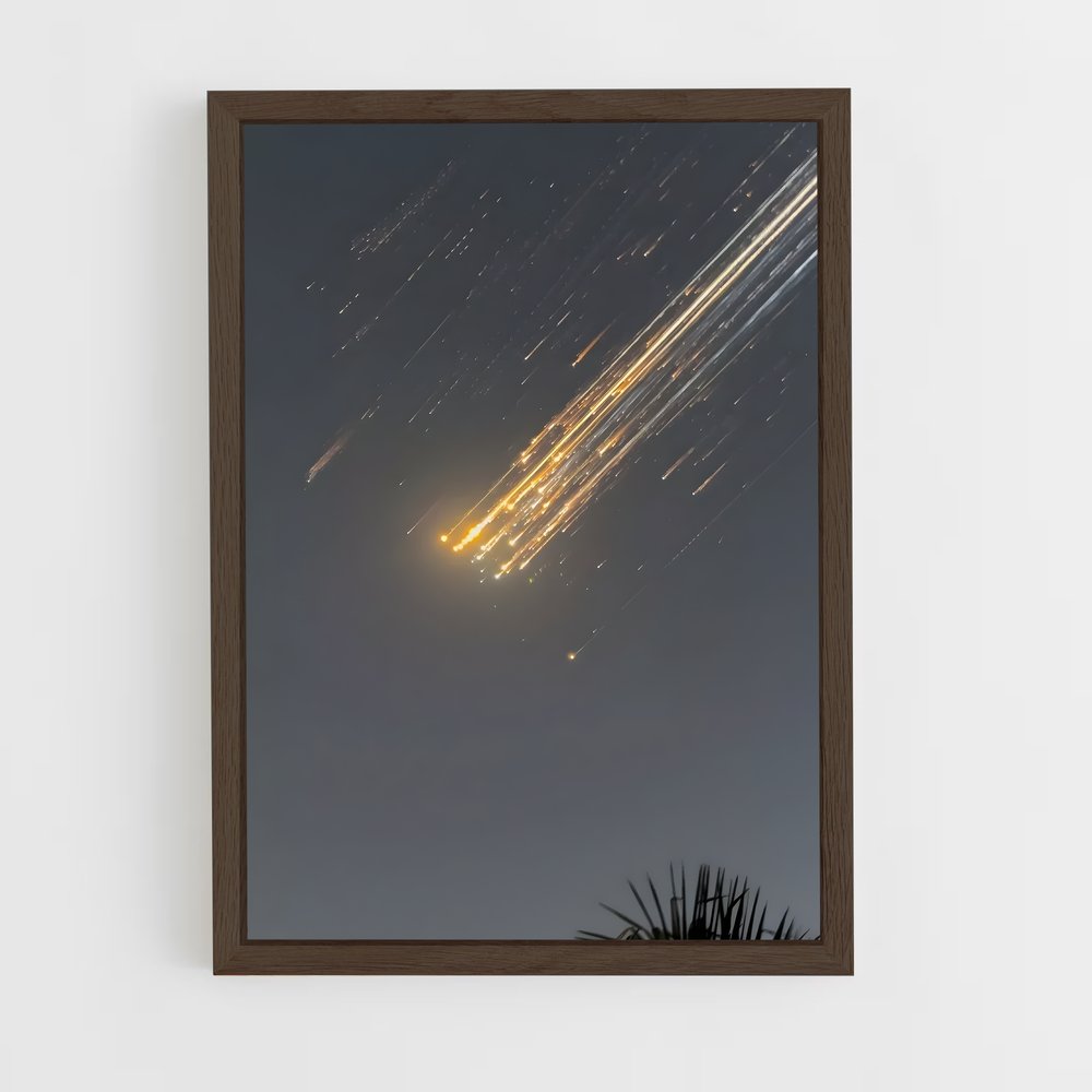 ap-spacex-17 cadre Bois foncé