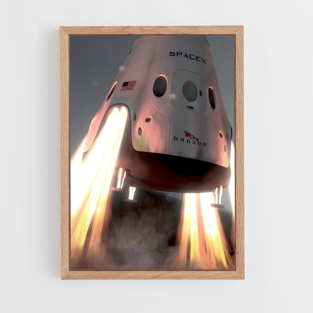 ap-spacex-21 cadre Bois clair