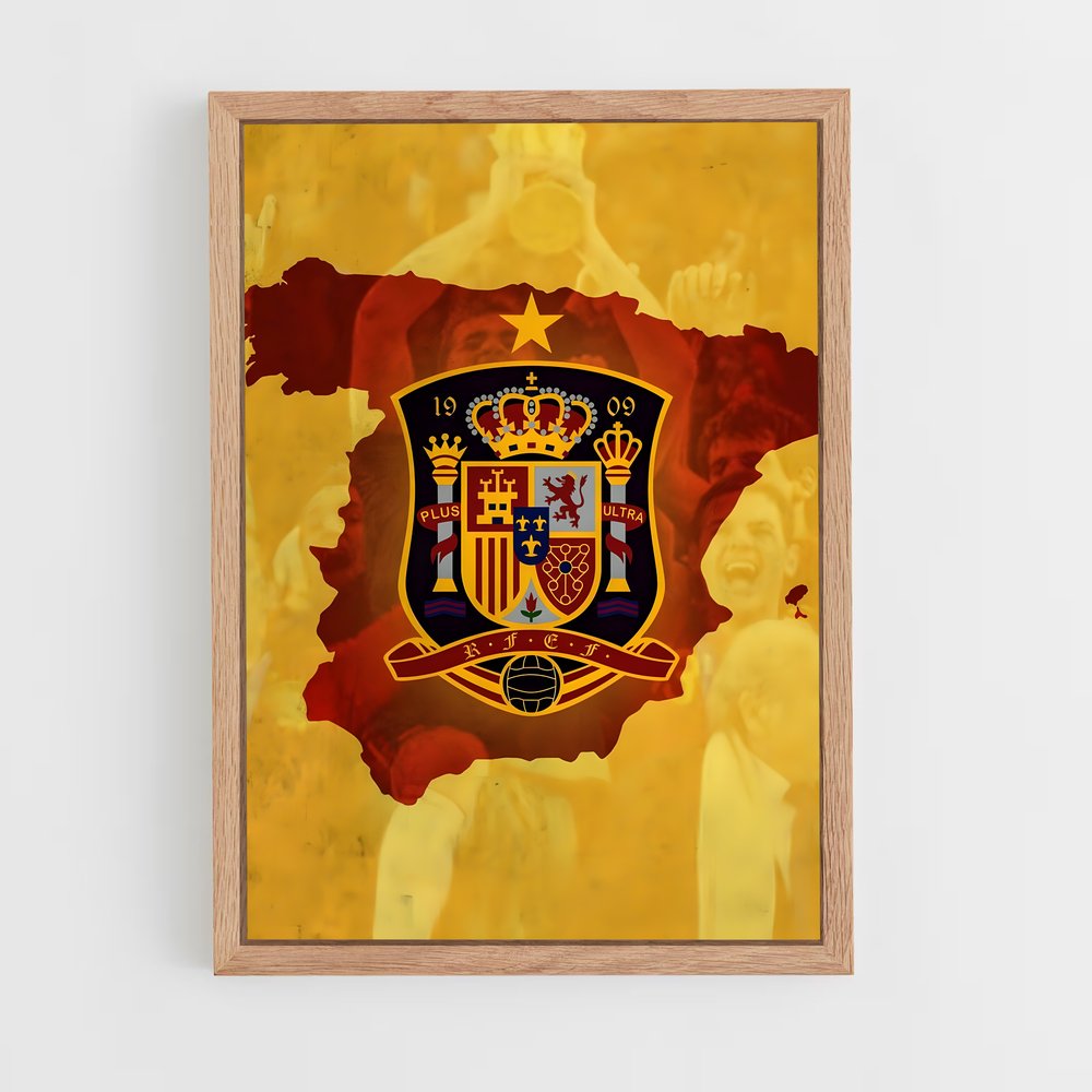 ap-spain national football team-6 cadre Bois clair
