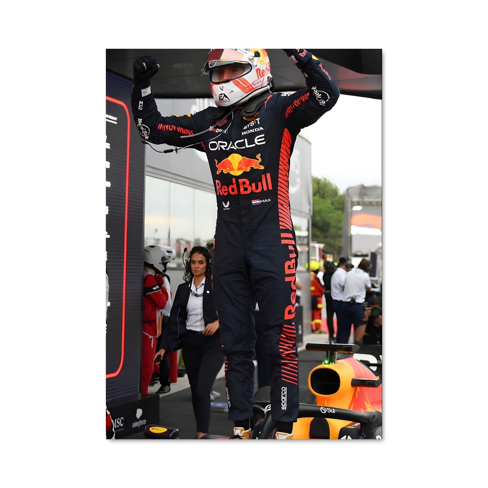 Poster La Victoire de Vettel