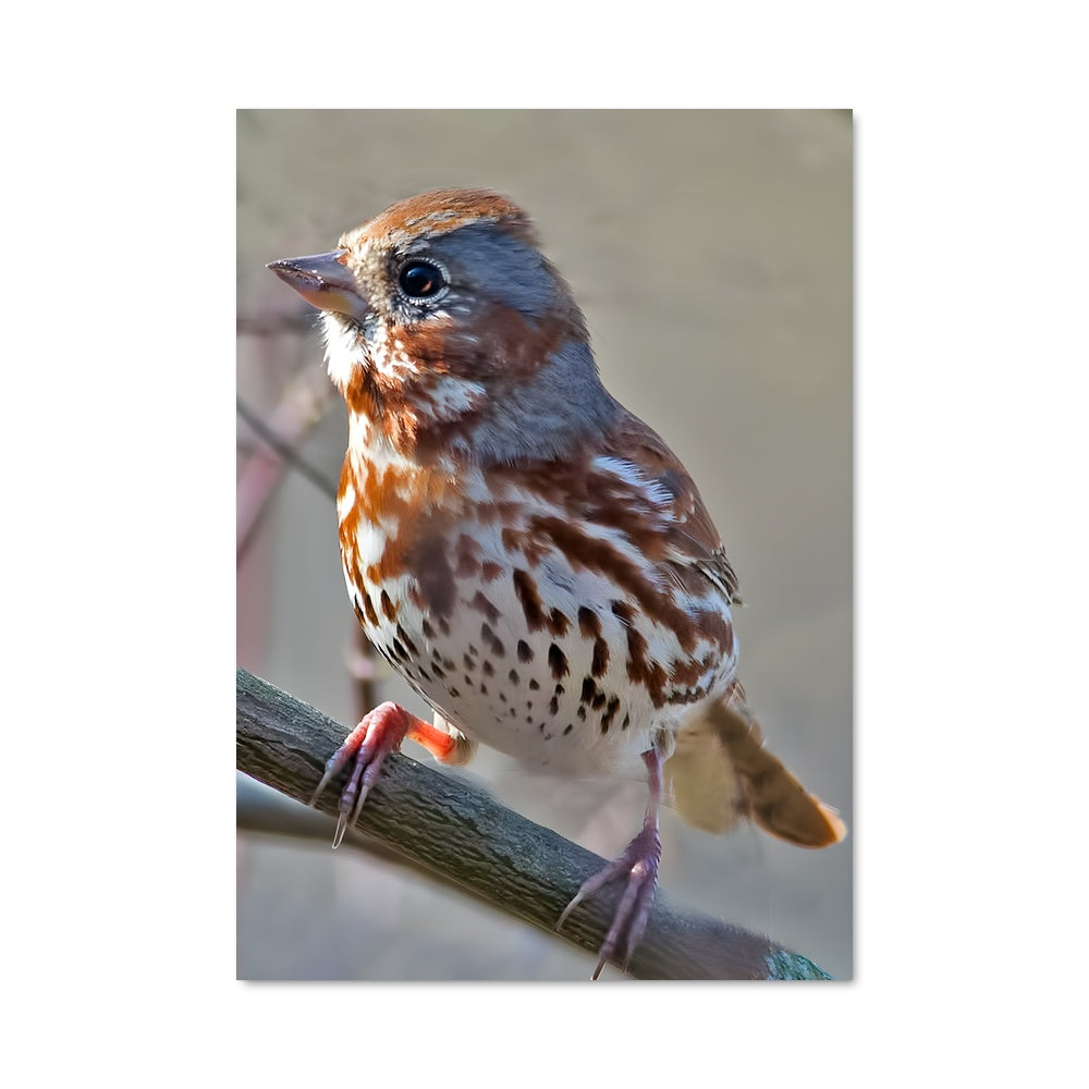 Poster Chant de l'Automne