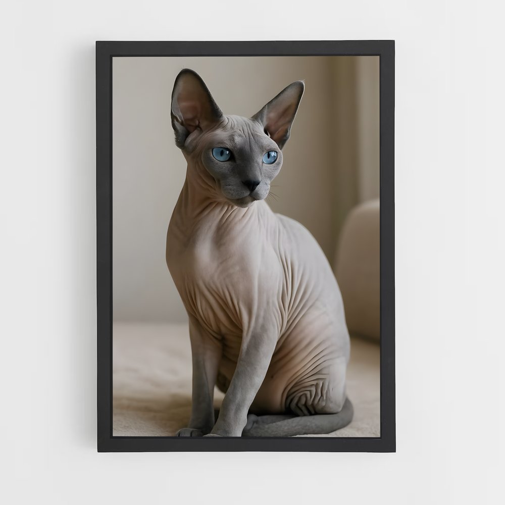 ap-sphynx-1 cadre Noir